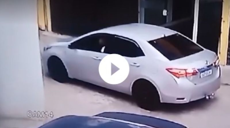 Homem que atropelou cachorro de carro duas vezes é preso em Bangu